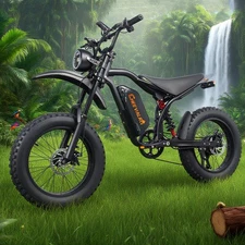 20" Fat E-Bike 3000W Electric Dirt Bike 48V 20Ah All Terrain E-Motorcycle 40 MPH