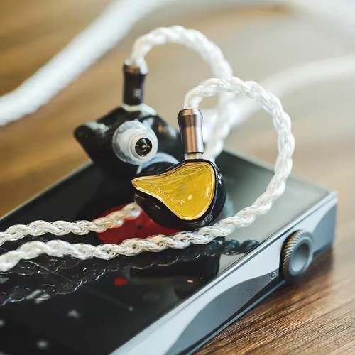 ShanLing Regal Wired Hifi In-Ear Earphones Dual 10mm Coil Three-way Division - 第 5/11 張圖片