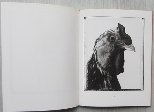 Animal - Bettina Rheims. Libro de fotografia de una excepcional fotógrafa. - Imagen 19 de 22
