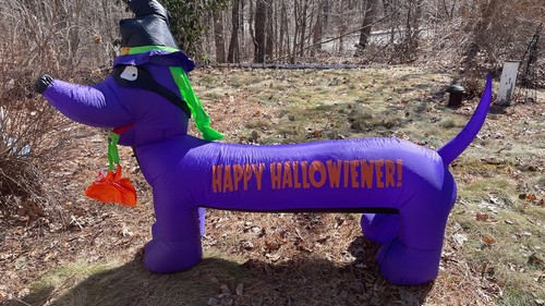 Gemmy 6.5ft Happy Halloweiner Dachshund Inflatable-EUC - Picture 2 of 3