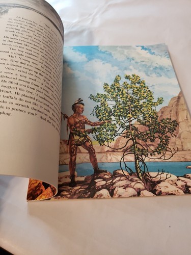 Tree in the Trail by Holling C Holling Illustrated Children's Book 1970 - Picture 10 of 11