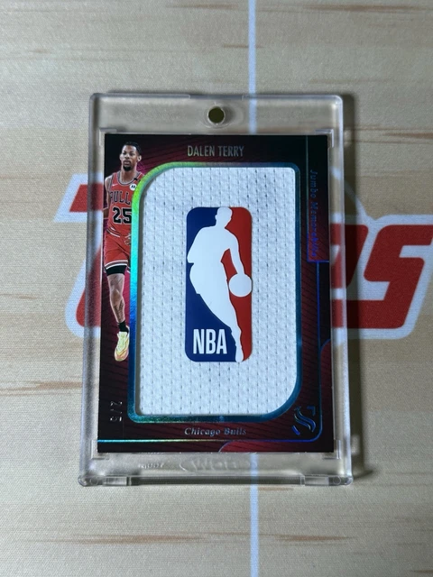 2024-25 Panini Silhouette Dalen Terry Jumbo Logoman Patch Platinum 2/5 Bulls