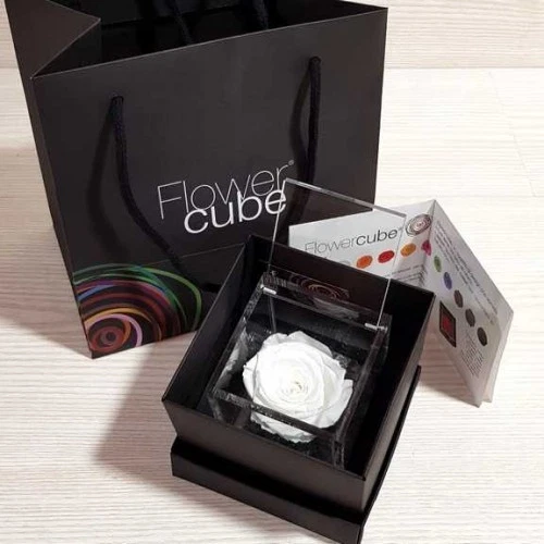 Rosa stabilizzata FlowerCube cubo 10x10 cm - Foto 1 di 13