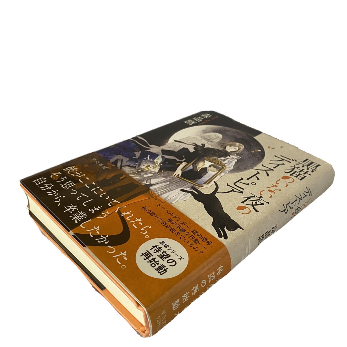 The Black Cat Series Akimaro Mori Japanese Novel Book