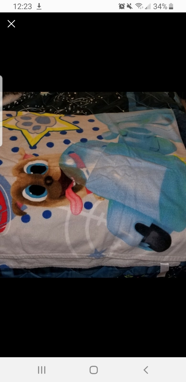 Picture 2 of 4