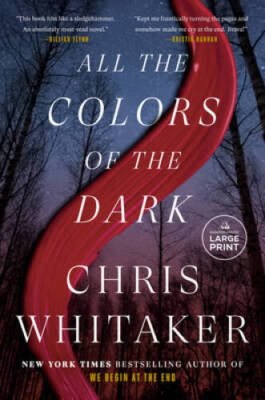 All the Colors of the Dark - GOOD