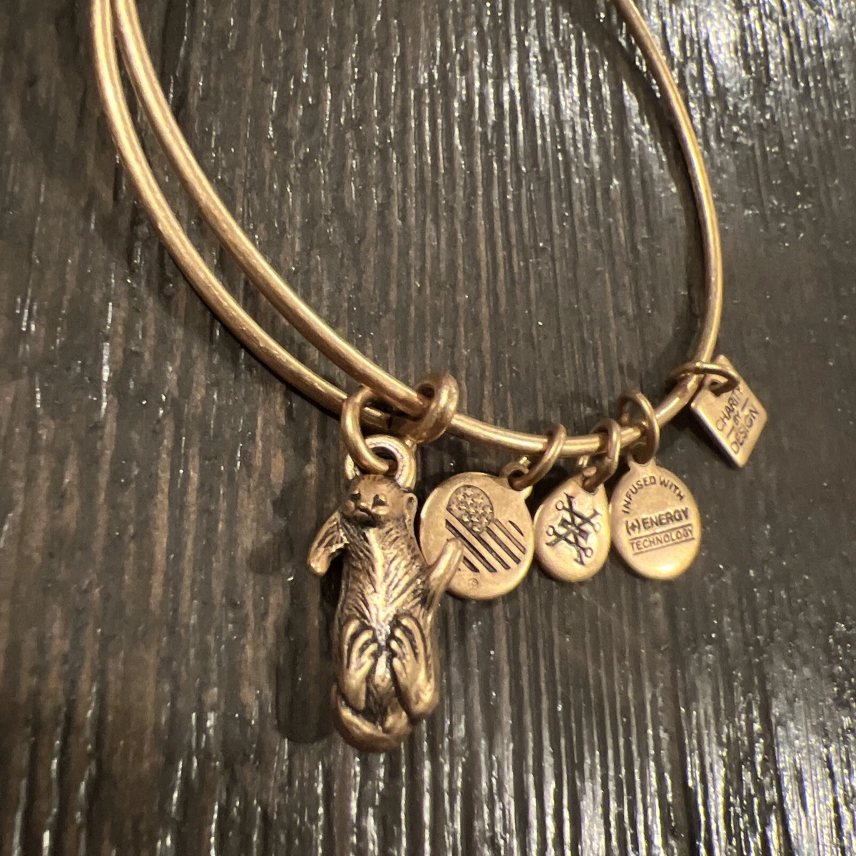 Alex Ani 2016 Otter Charm Charity By Design Rafaelian Gold Bangle