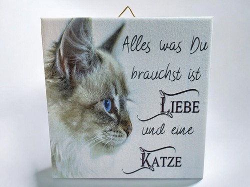 Motivfliese Wandbild Bildfliese Katze Spruch... (081) Geschenkidee Fliese - Picture 4 of 11