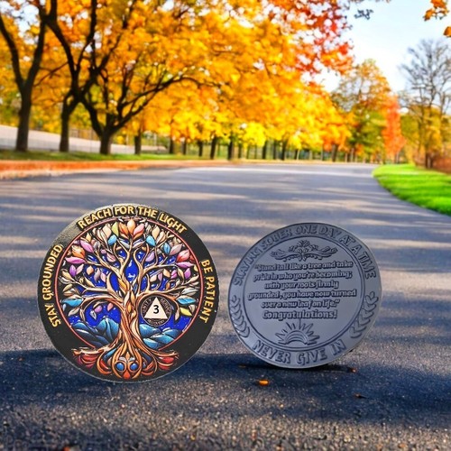🔥3 Year AA Sobriety Coin, Super 3D Alcoholics Anonymous Token Three Years Sober - Picture 9 of 9