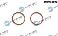 Dichtungsset, Ansaugkrümmer Dr. Motor Automotive DRM0259S  für OE 0382.QW