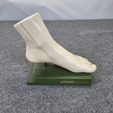 MEDICAL Vintage MODEL & FOOT Anatomical Merck Sharp Dohme Indocin Advertising