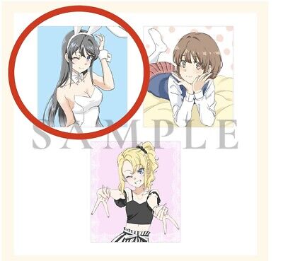 Seishun Buta Yarou Movie Visitor Bonus Shikishi Art Board Mai Sakurajima  2023