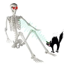 6FT Halloween Life Size Human Skeleton with LED Glowing Eyes & Shrilling Sound