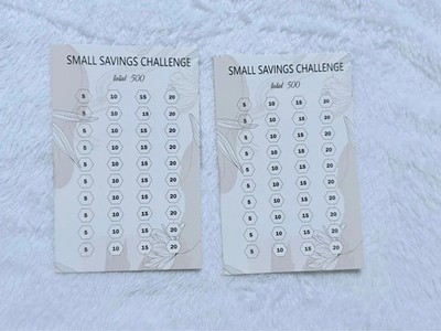 Small Saving Budget Binder Challenge, neu und unbenutzt