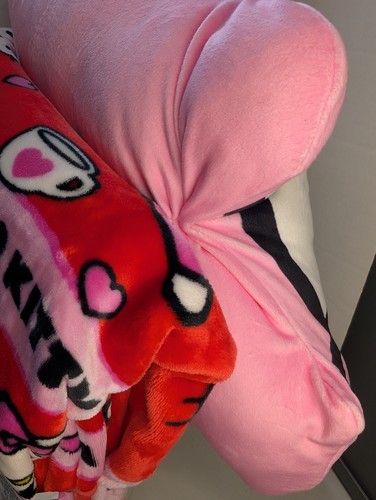 Hello Kitty by Sanrio Cloud Soft & Plush Pillow 23”, Blanket 60” x 70”, Gift set - Picture 2 of 3