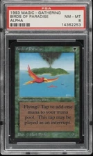 Magic MTG Alpha Birds of Paradise PSA 8 (NM-mint) 1993
