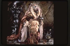 The Dark Crystal 1982 SkekEkt Ornamentalist Vintage Duplicate 35mm Transparency 