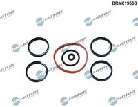 Dr.Motor Automotive Dichtungssatz, AnsaugkrüMmer DRM01966S FüR Alfa Romeo