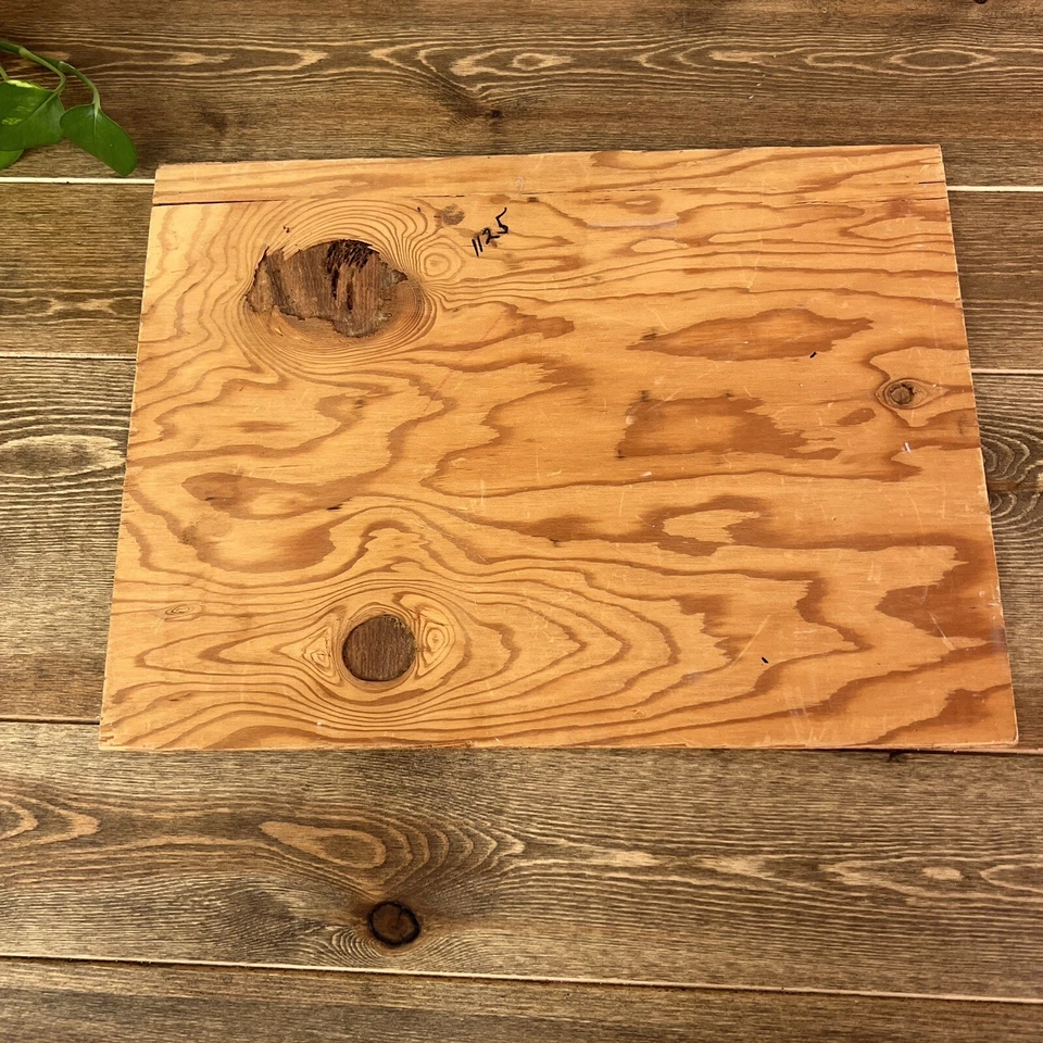 Reproducción de 1836 Joseph H. Davis Pintura Arte Primitivo Foto 4 de 4