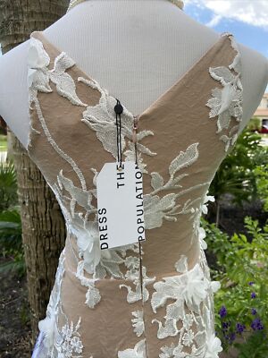 Dress The Population Sidney Dress Floral Appliqu Sheer Lace Nude/White SZ  S NWT | eBay