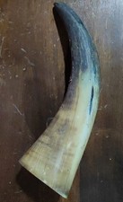 CORNO PORTA COTE  PIETRA AFFILATRICE BUE