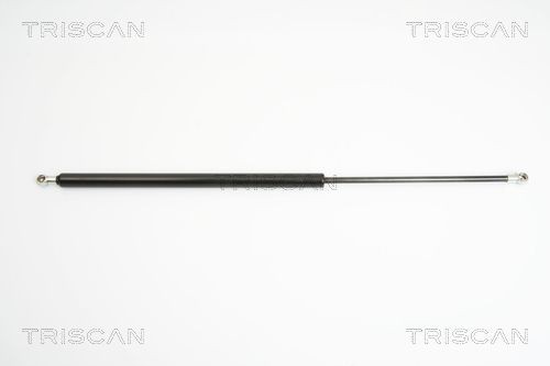Triscan Kofferraum Lifter DäMpfer Gasfeder Opel Vectra C Caravan (Z02)-image