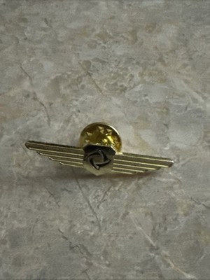 aviation pilot wings pin