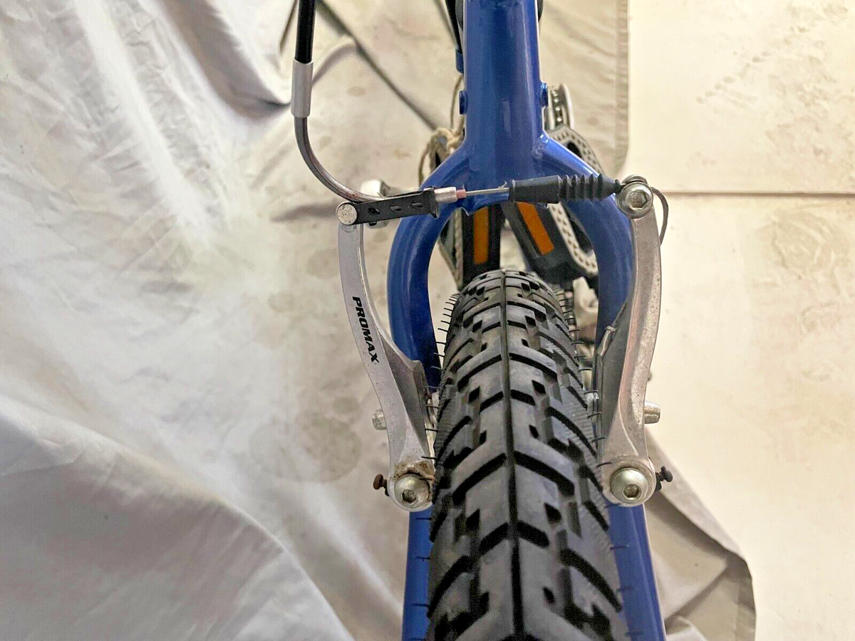 2005 Schwinn Sierra Cruiser Bike 16