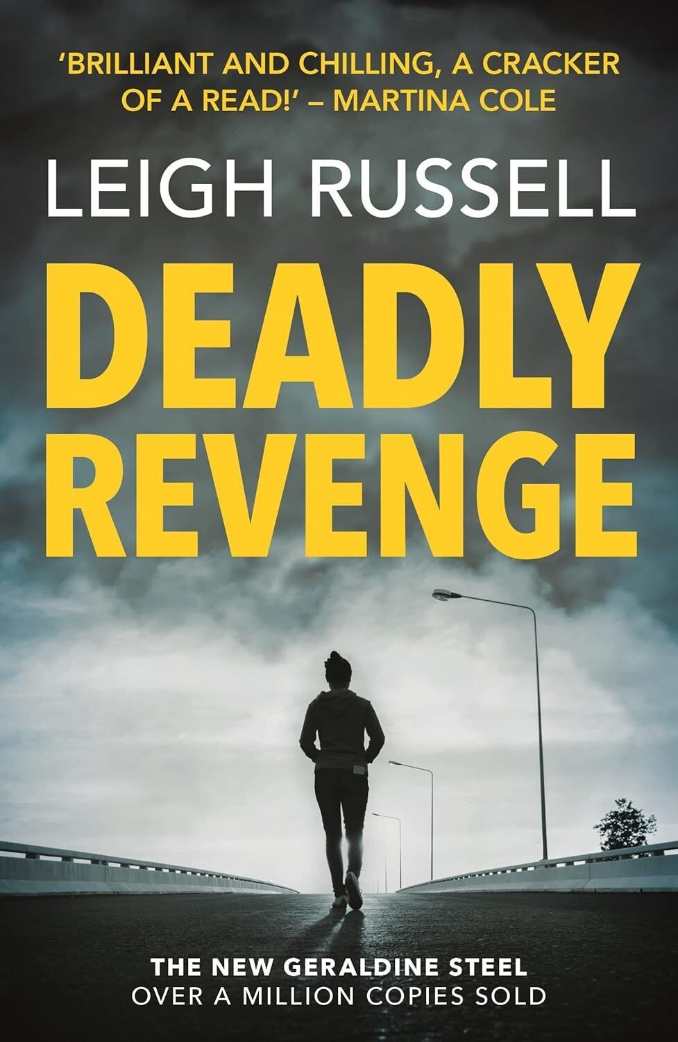 Deadly Revenge: DI Geraldine Steel Book 14 - Leigh Russell (Paperback, 2020)
