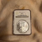 2001-P American Silver Eagle NGC MS 69 Brown Label
