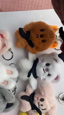 SKZOO MAGNET PLASH KEYRING リービット New Stray Kids Plush Keychain SKZOO Pilot Doll Magnet Week