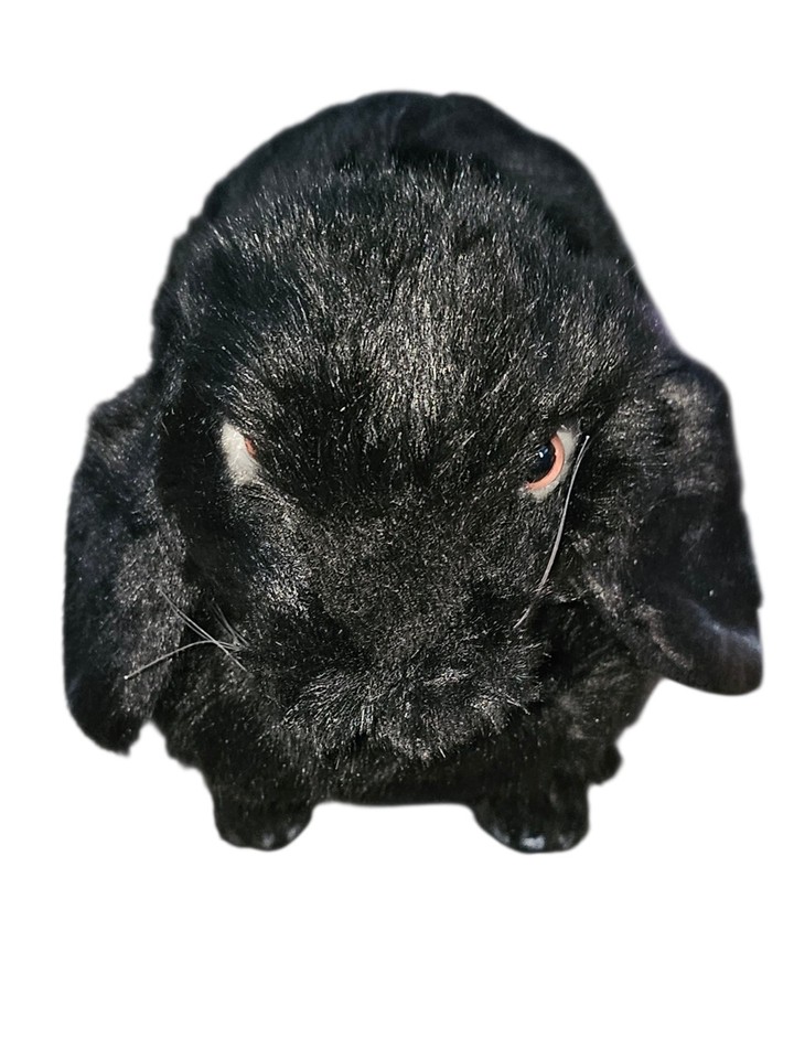 Stuffed Black Rabbit hansa plush black rabbit | eBay