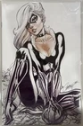 Amazing Spider-Man #14 Virgin Series J Scott Campbell Black Cat