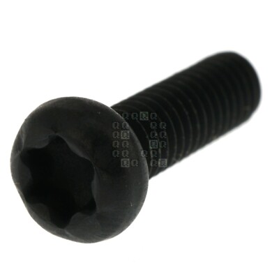 Milwaukee Tool 05-78-5316 #8-36 T20 TORX TAPTITE Screw