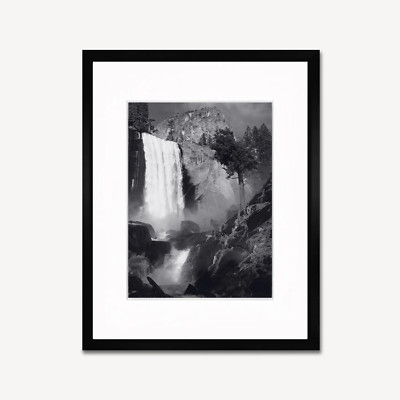 Aspens Northern New Mexico Ansel Adams Nature Trees Framed Print CERTIFIED!