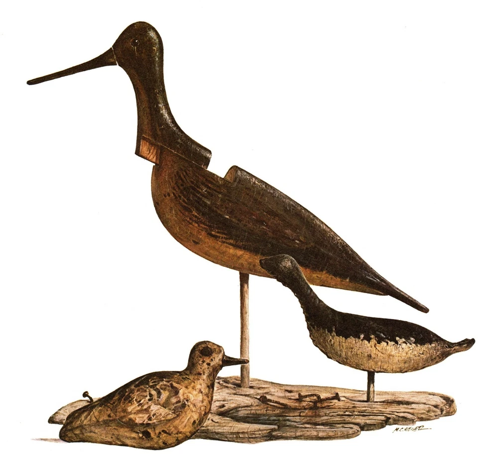 Antique Shorebird Decoy Art Print LTD Ed. Willet Snipe Sanderling Decoys 5949h - Image 2 of 3