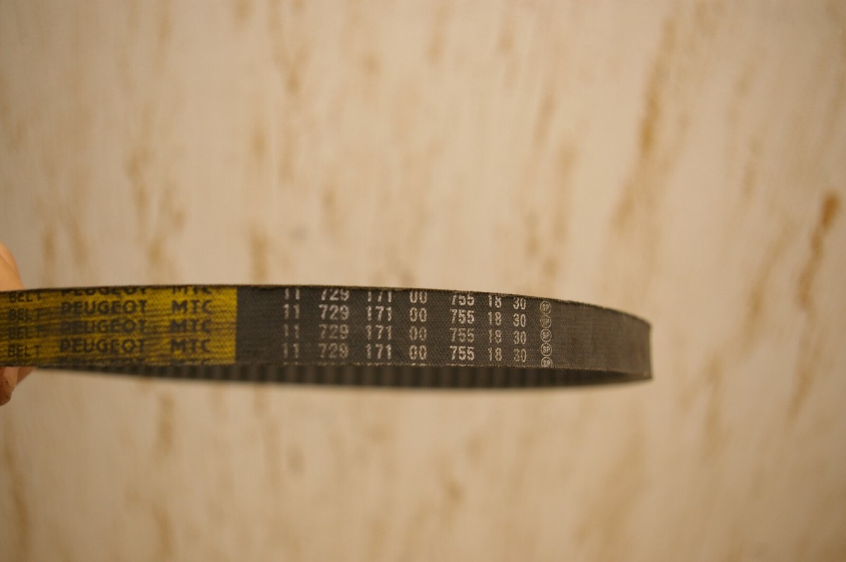 Peugeot Speedfight 2 1172917100 Transmission Belt / Drive | eBay