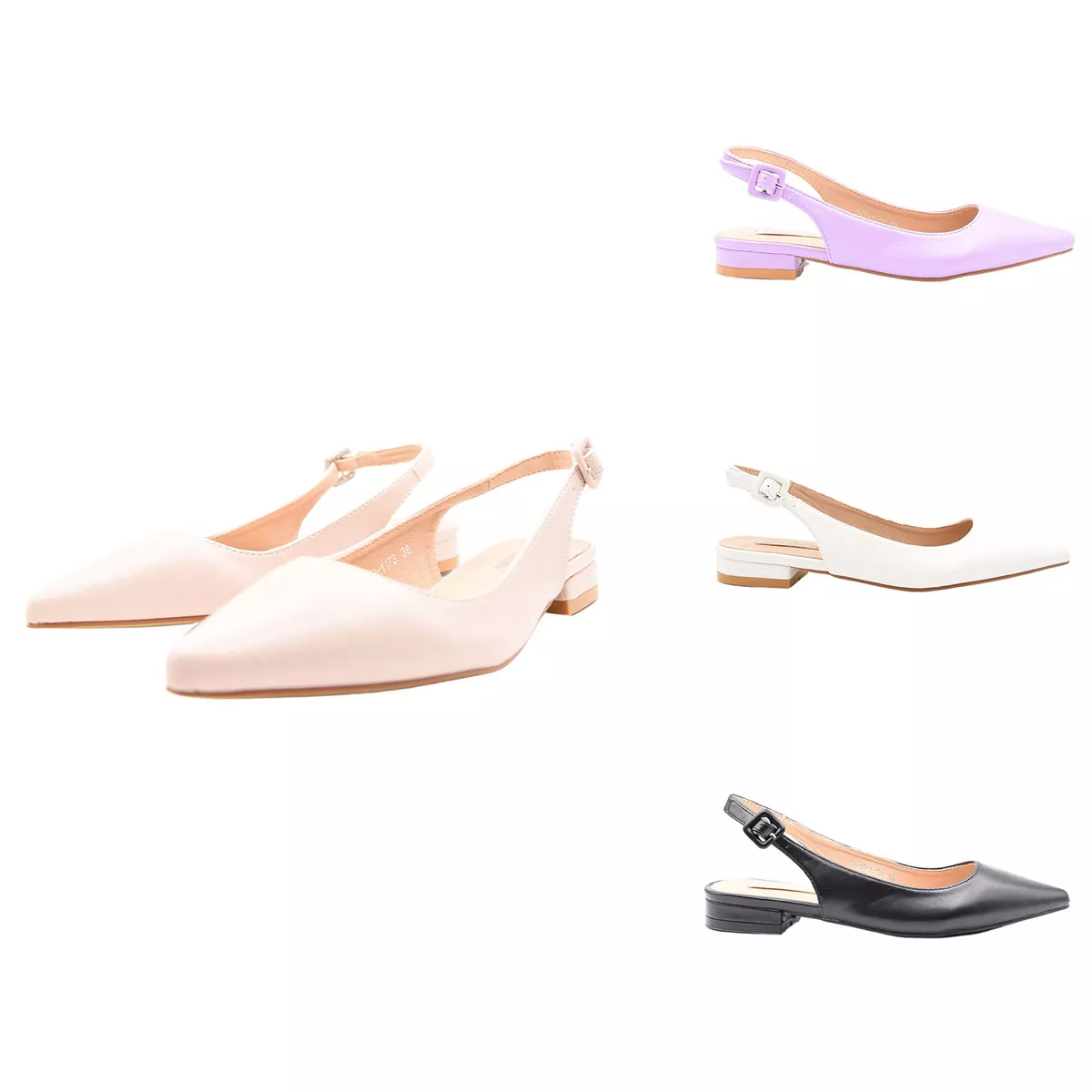 Scarpe basse a shop punta con cinturino