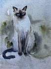 ACEO ORIGINAL Cat “Siamese Sitting” Artist Siby, Watercolor, 2026 India — photo 2