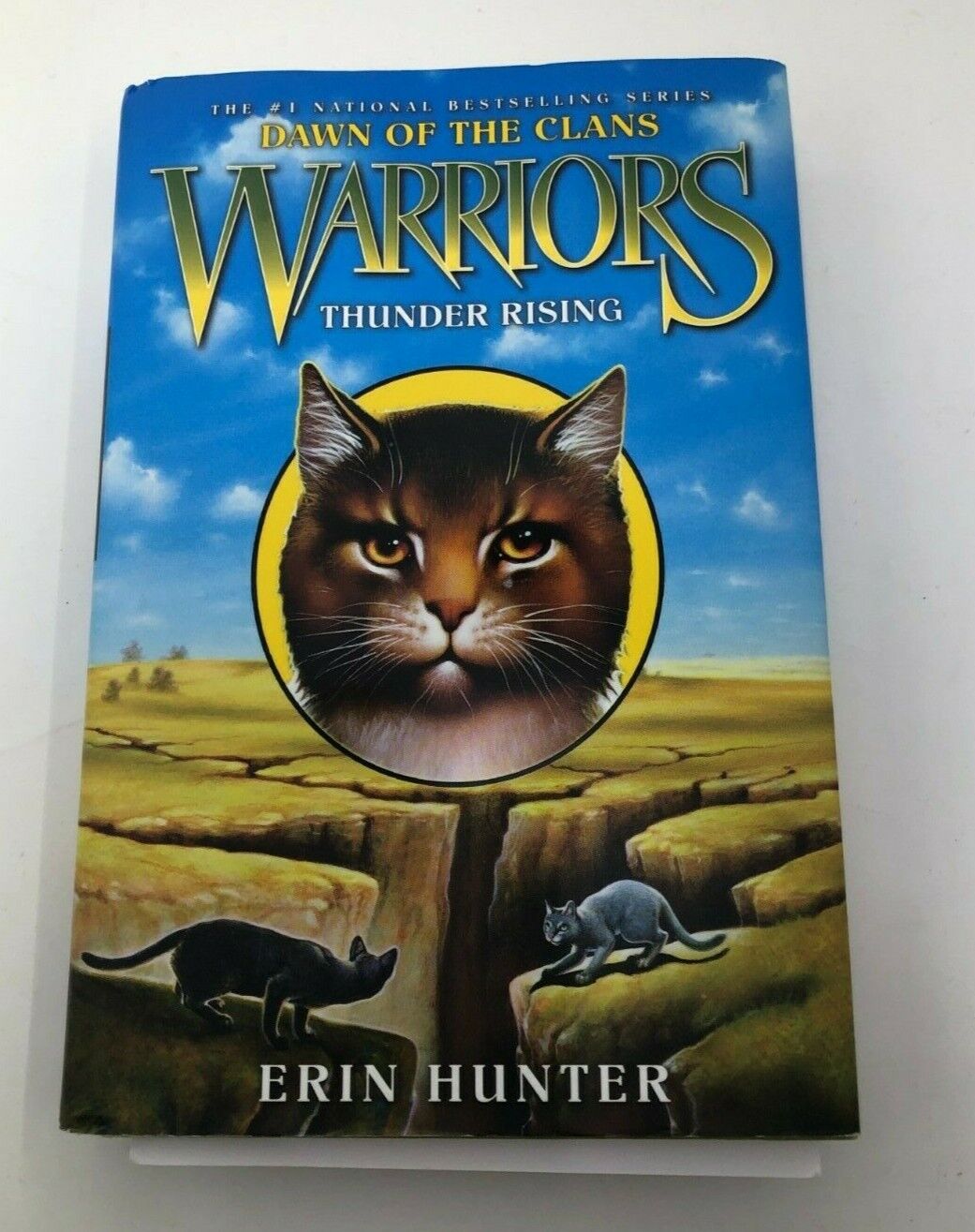 Warriors: Dawn of the Clans: Warriors: Dawn of the Clans #2: Thunder Rising  (Paperback) 