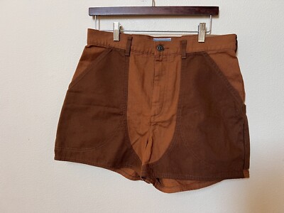 NWT PATAGONIA Road to Regenerative Stand Up Shorts Earthworm Brown