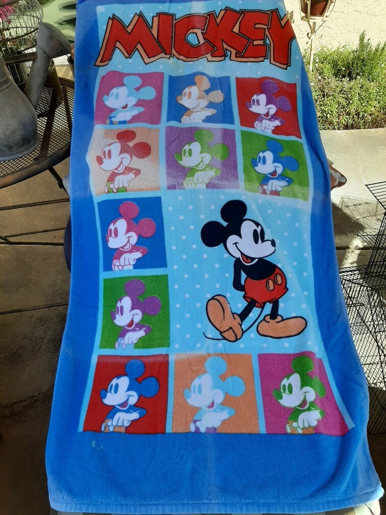 Franco Brand 28.5"x55" Towel Mickey Panels