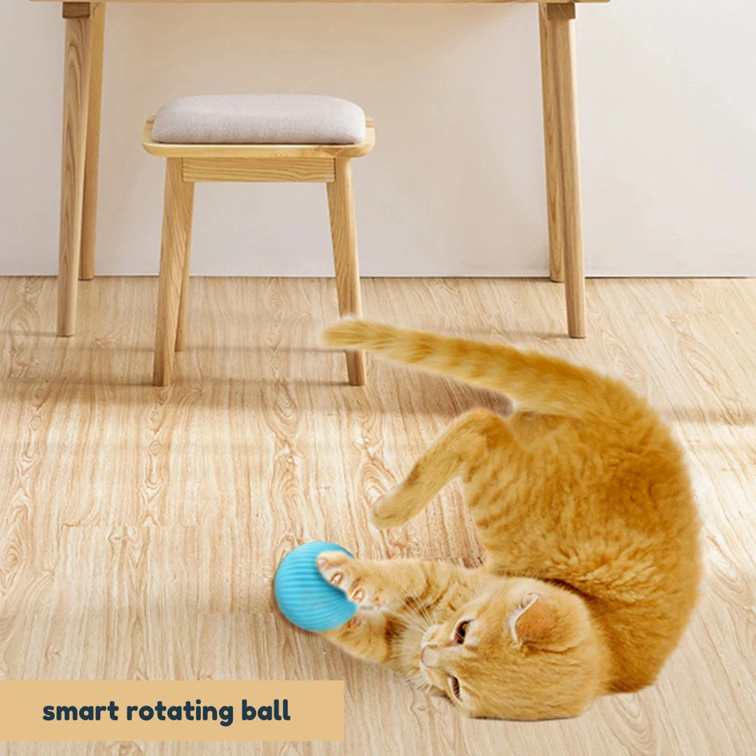 Smart Rotating Ball for Cats | Electric Cat Ball | Automatic Ball for Cat
Opens in a new window or t