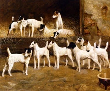 FOX TERRIER TOTTERIDGE 11 DOGS PAINTING BY ARTHUR WARDLE REPRODUCTION