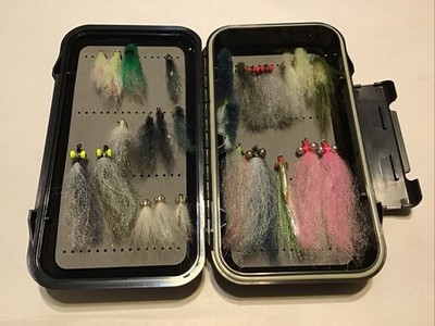 Lost Creek Fly Box With 25 Assorted Flies Lot 6 | eBay
