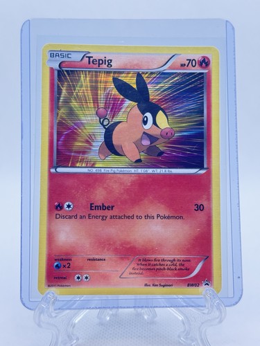 Pokémon 2011 Black & White Tepig Holo Black Star Promo Card BW02