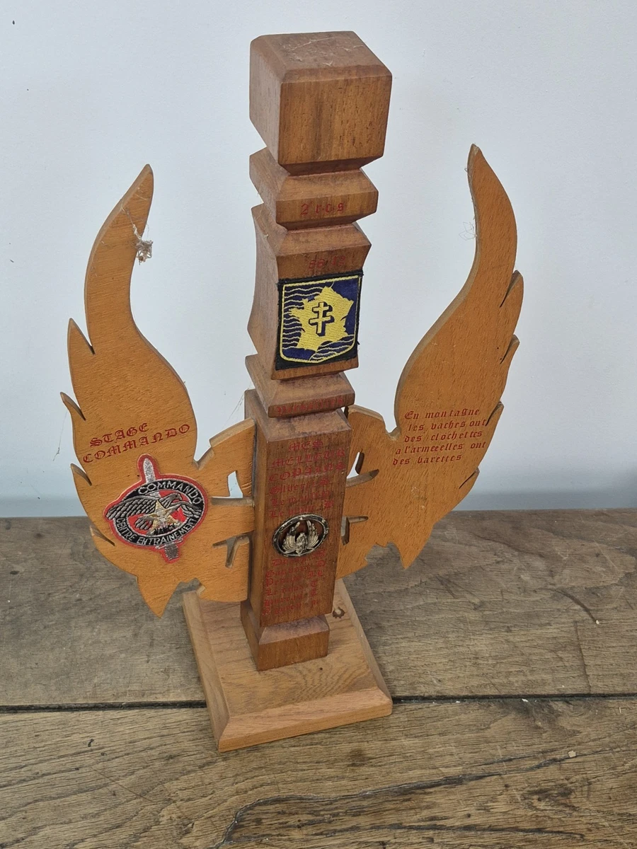 Insigne des Troupes d'Occupation en Allemagne années 45/49