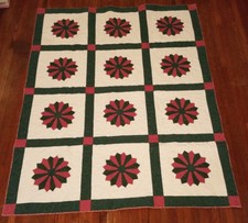 Dresden Plate Green  Mauve Custom quilting Finished/Completed Lap Quilt 52 x 70