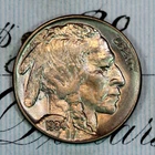 * 1934-P * SOLID+ GEM BU MS BUFFALO NICKEL * FROM ORIGINAL COLLECTION
