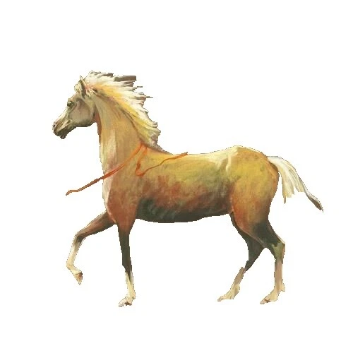 Pinturas de Arte de Corrida Realismo